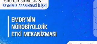 EMDR'nin nörobiyolojik etki mekanizması