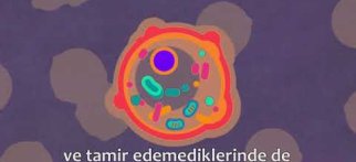 Prostat kanseri nedir? Belirtileri nelerdir? TEDAVİSİNDE SON GELİŞMELER