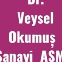 Dr. Veysel Okumuş