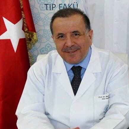 Prof. Dr. Mehmet Okka
